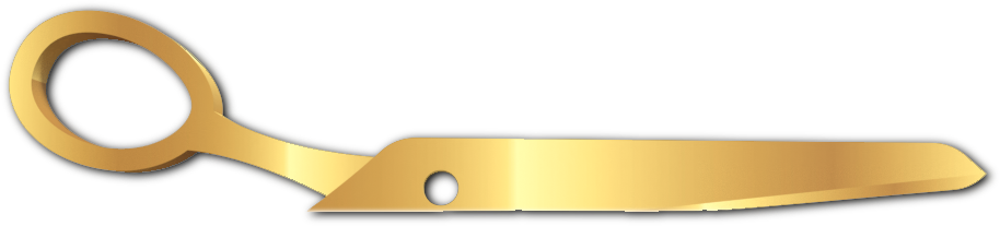 Precision Cutting Scissors