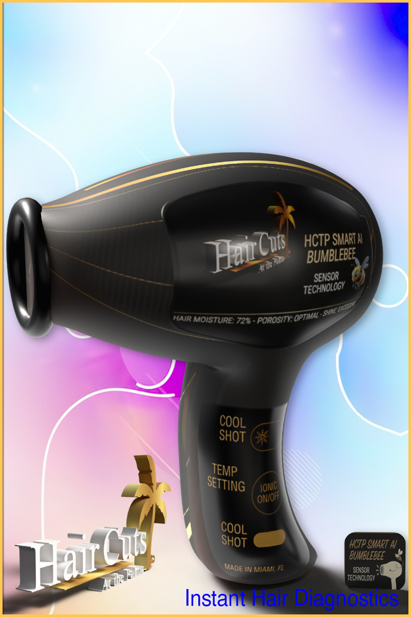 HCTP Hairdryer